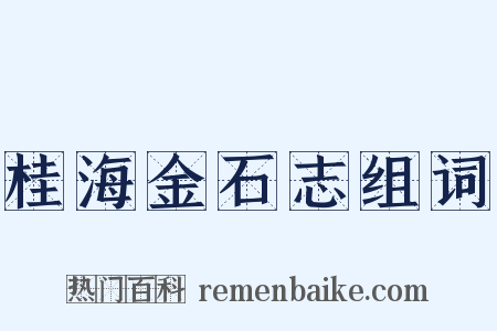 桂海金石志组词是什么意思的图片